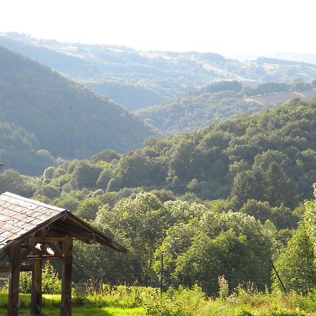 Ferrières-sur-Sichon Domaine Du Randier 빌라 외부 사진